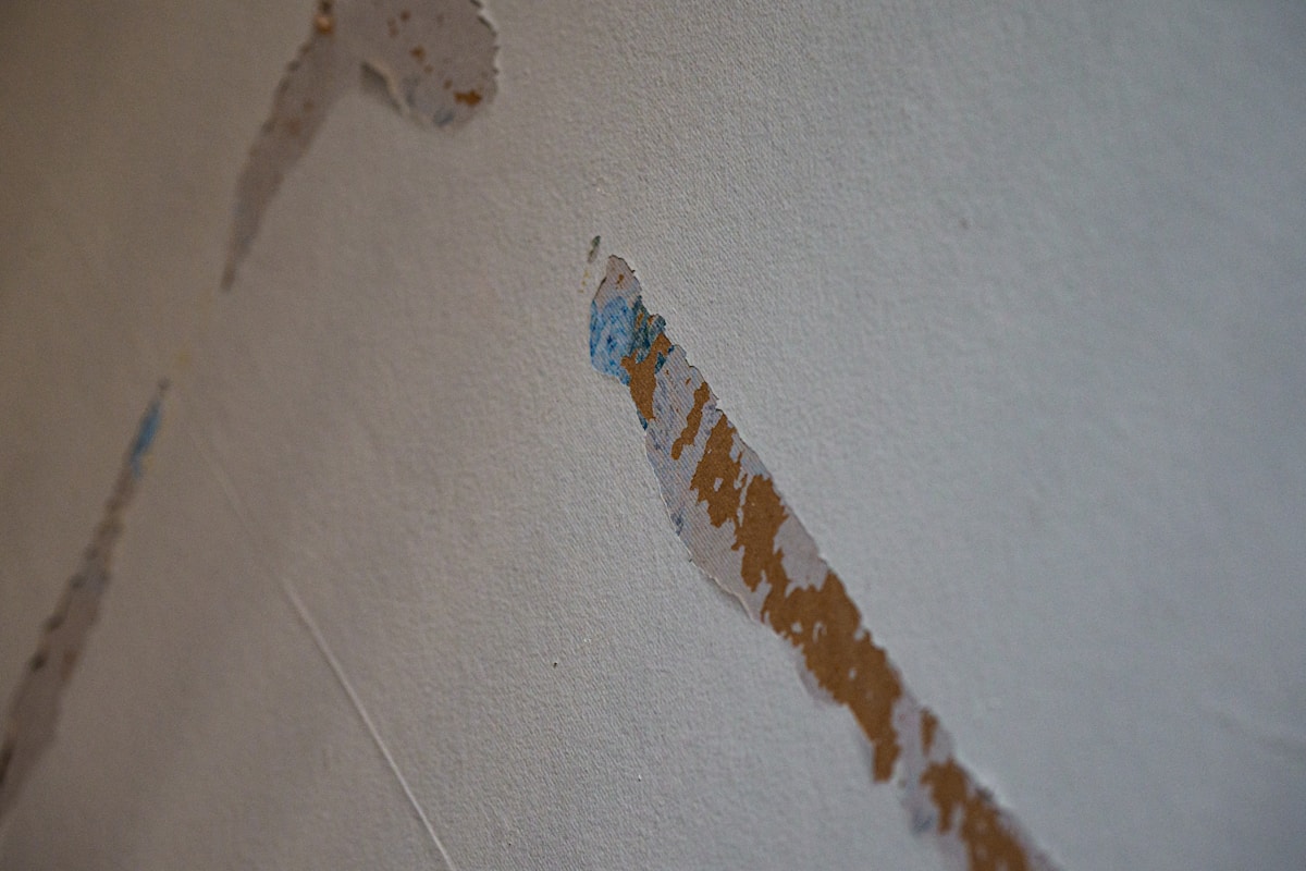 Flood Cleanup service in Palm Bay, FL